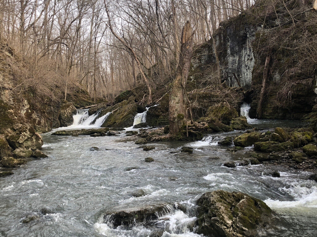 Indian Mound Reserve-Cedarville必去景点