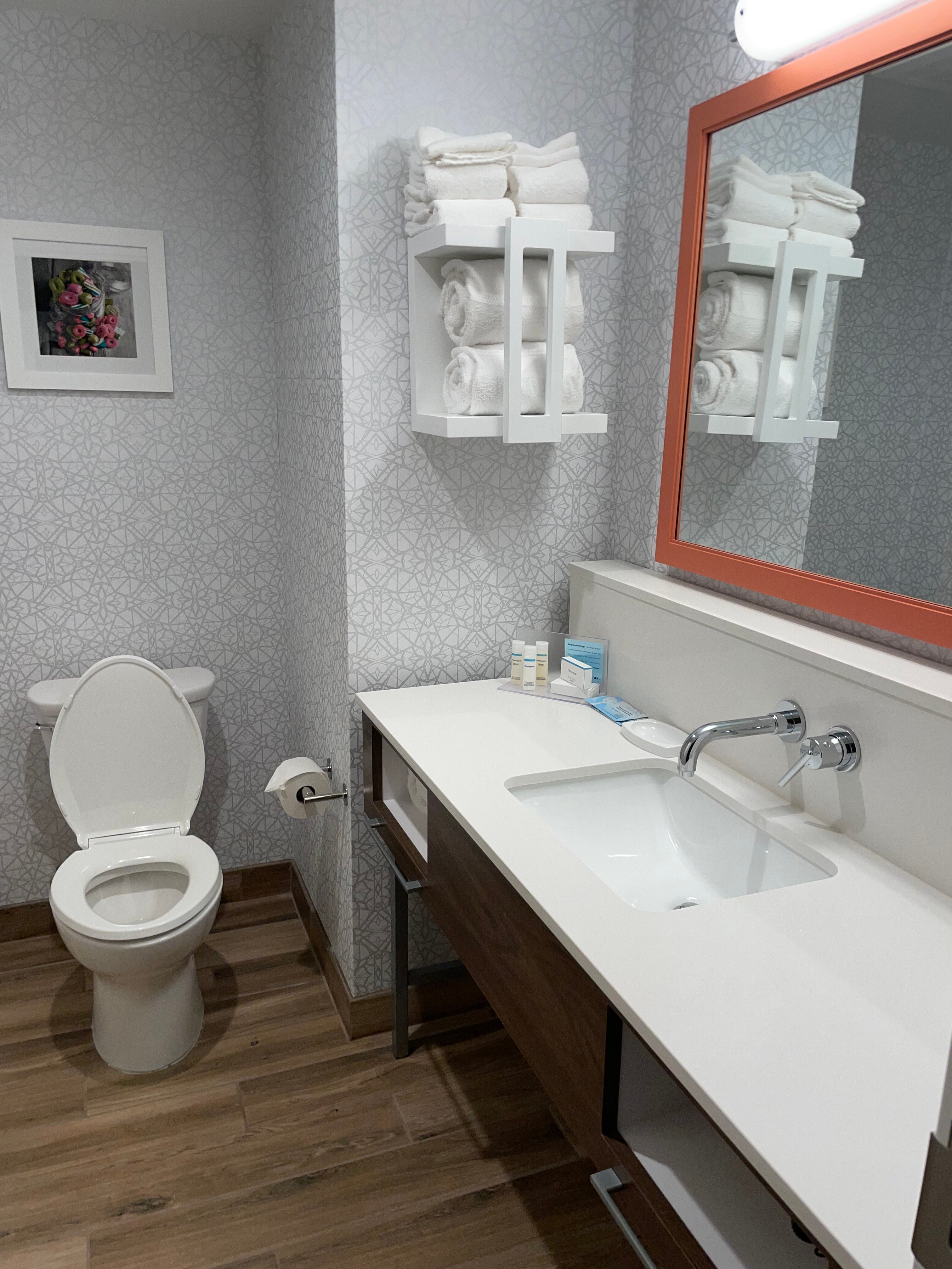 Hampton Inn By Hilton Lexington-浴室