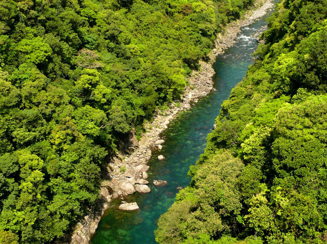 Yakushima National Park-屋久岛町必去景点