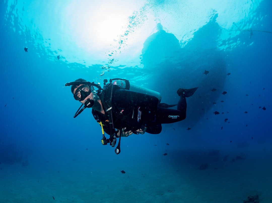 PiliPili Dive Center Zanzibar景点图片
