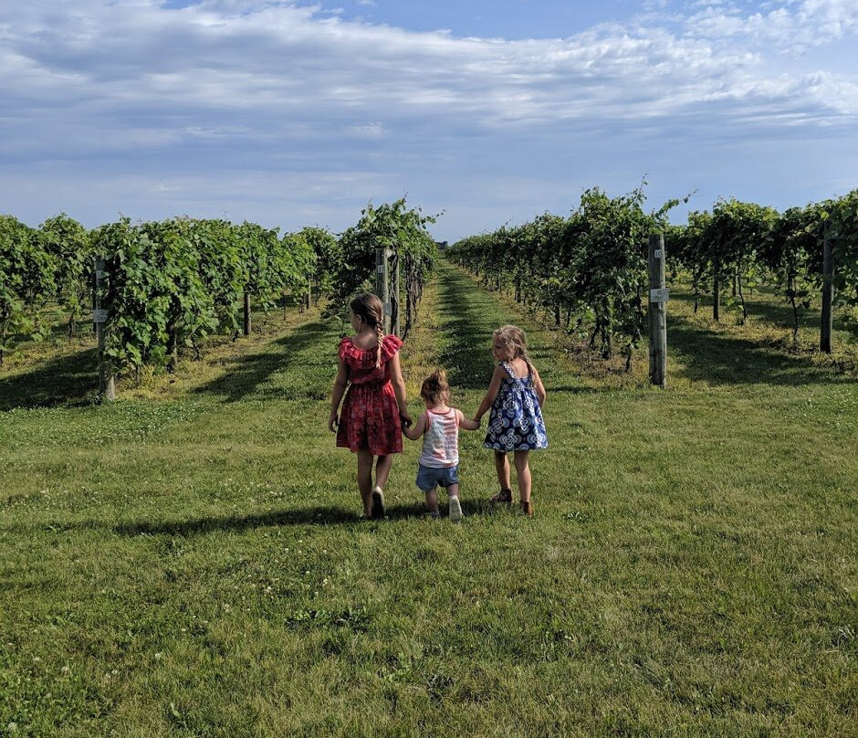 Soldier Creek Winery-Fort Dodge必去景点