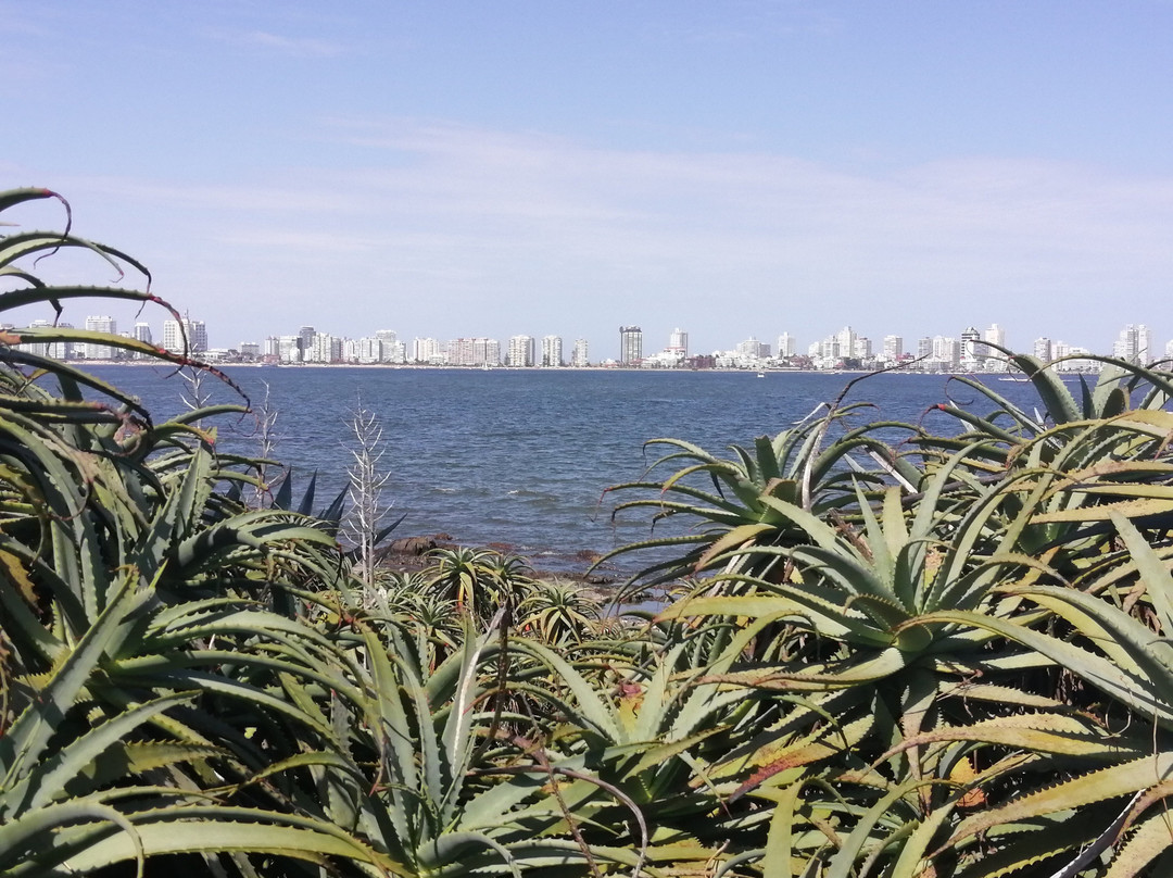 Isla Gorriti-Maldonado必去景点