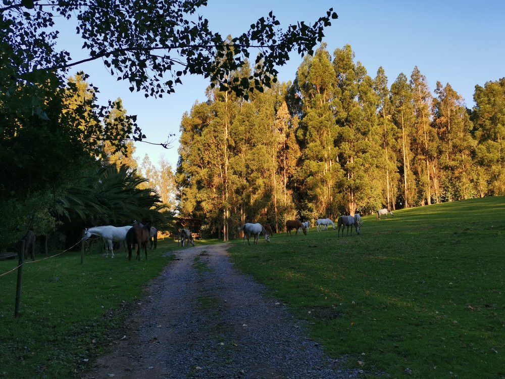 Altos De Puangue Lodge