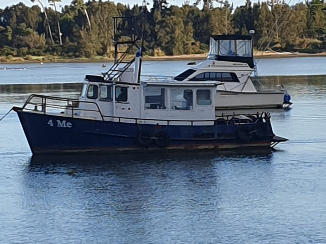 Whakatane River Walk景点图片