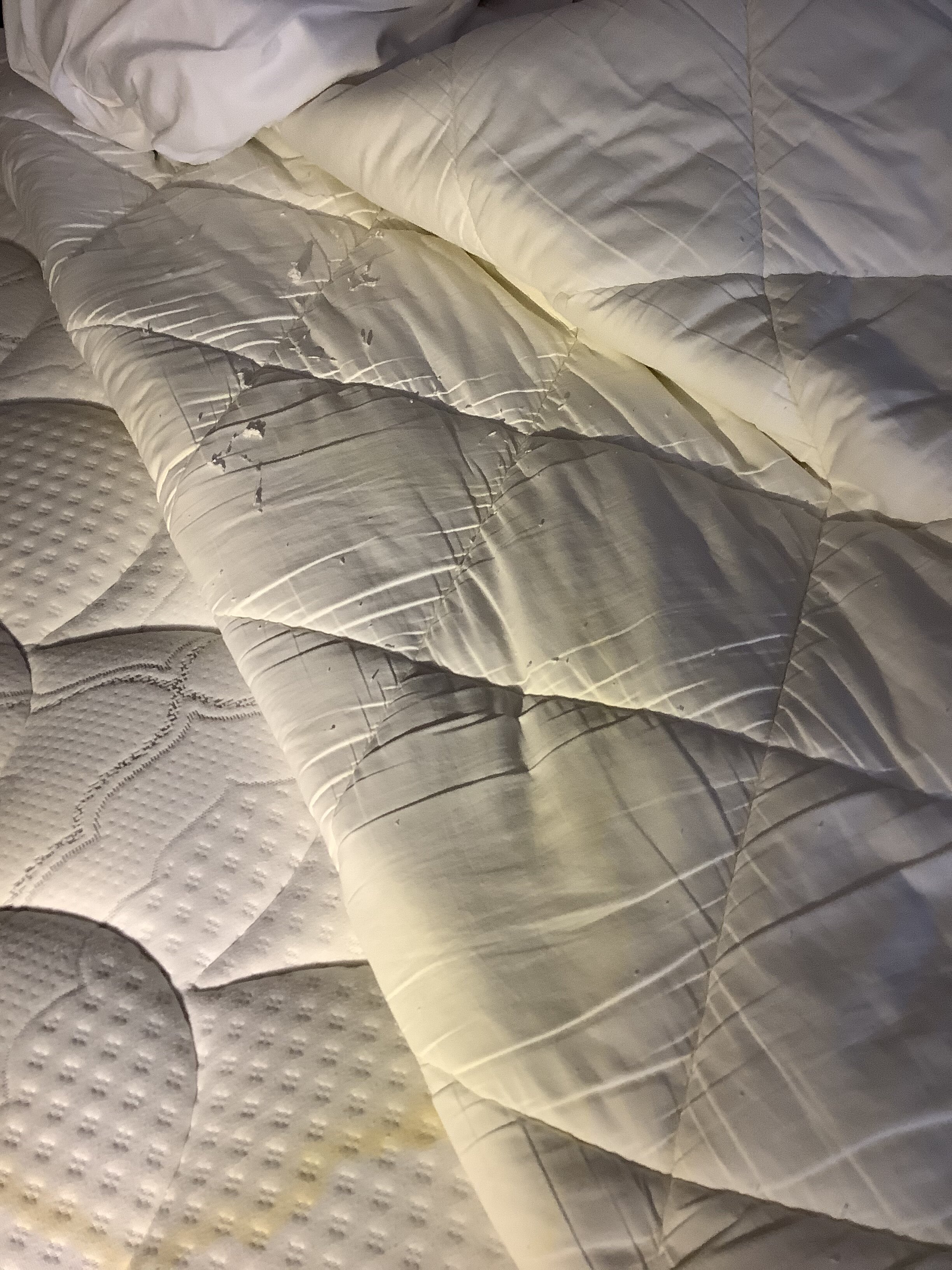 Holiday Inn Express & Suites Milwaukee Nw – Park Place By IHG-portrait