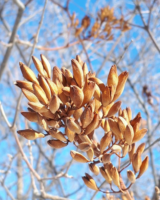 Old Market Square-温尼伯必去景点