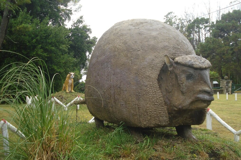 Museo de Ciencias Naturales de Miramar景点图片