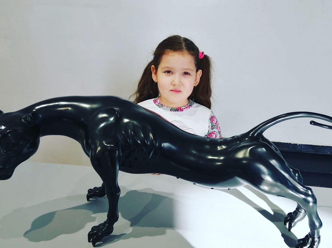 Chita Regional Art Museum-赤塔必去景点