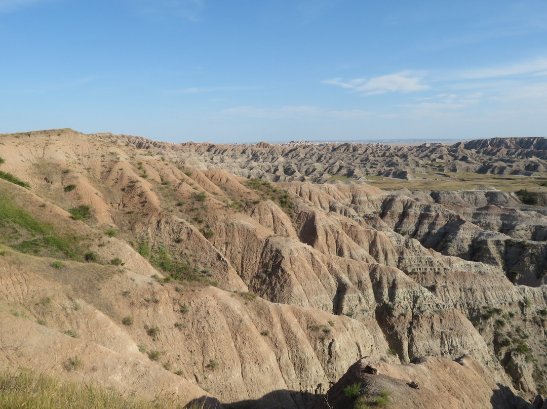Badlands Wilderness Overlook景点图片