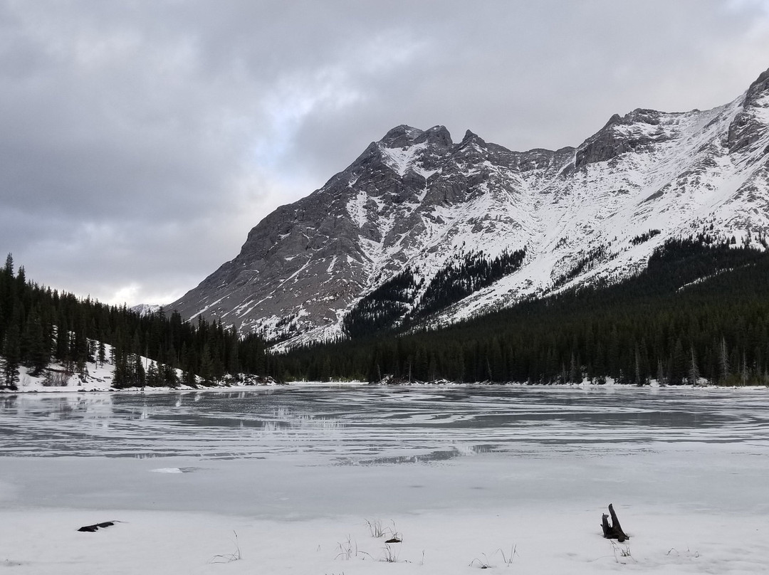 Elbow Lake Trail-卡那那斯基斯必去景点