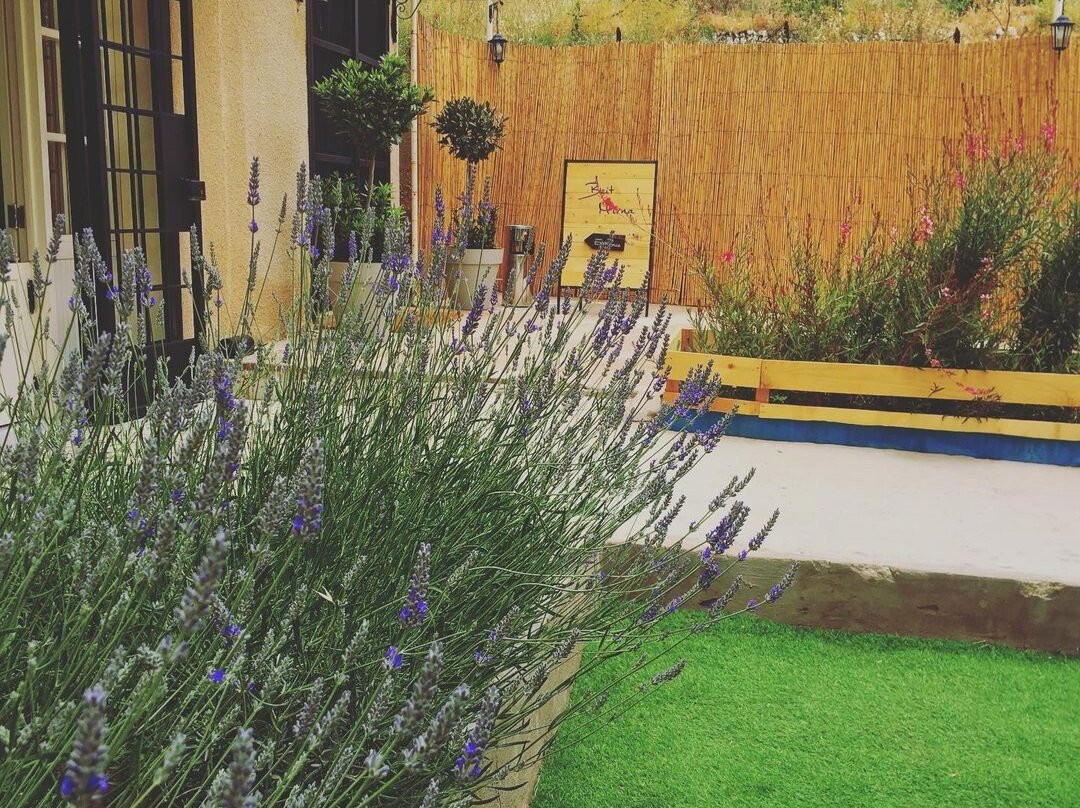 Beit Mirna Guesthouse - Ehden主图