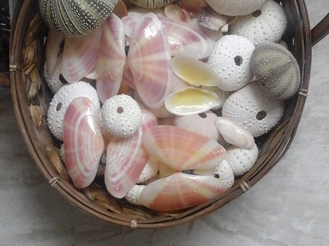 True Blue Charters | Spanish Wells Bahamas Guide-Spanish Wells必去景点