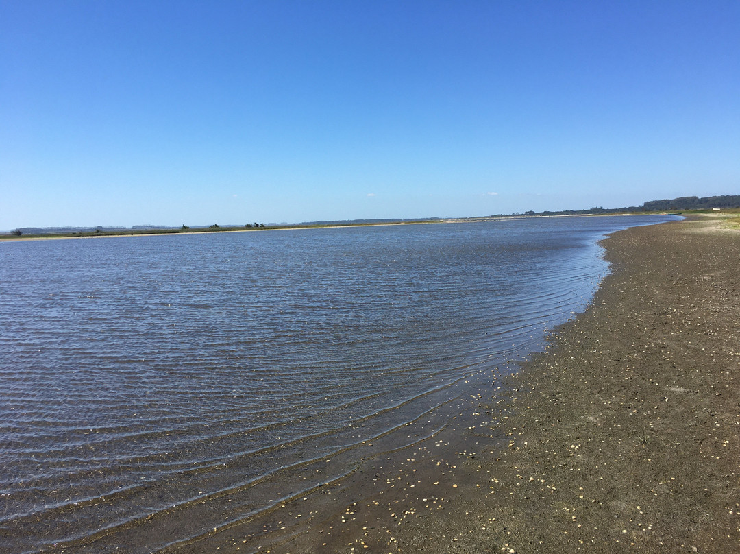 Laguna Jose Ignacio-Jose Ignacio必去景点
