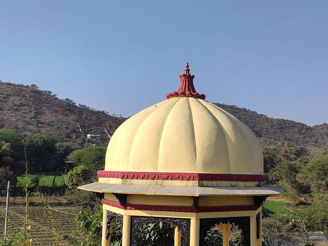 The Rukmani Bagh主图