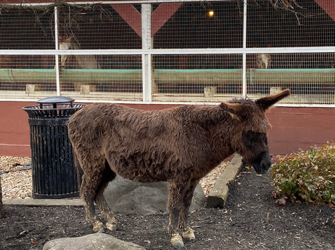 Five Oaks Riding Stables-塞维尔维尔必去景点