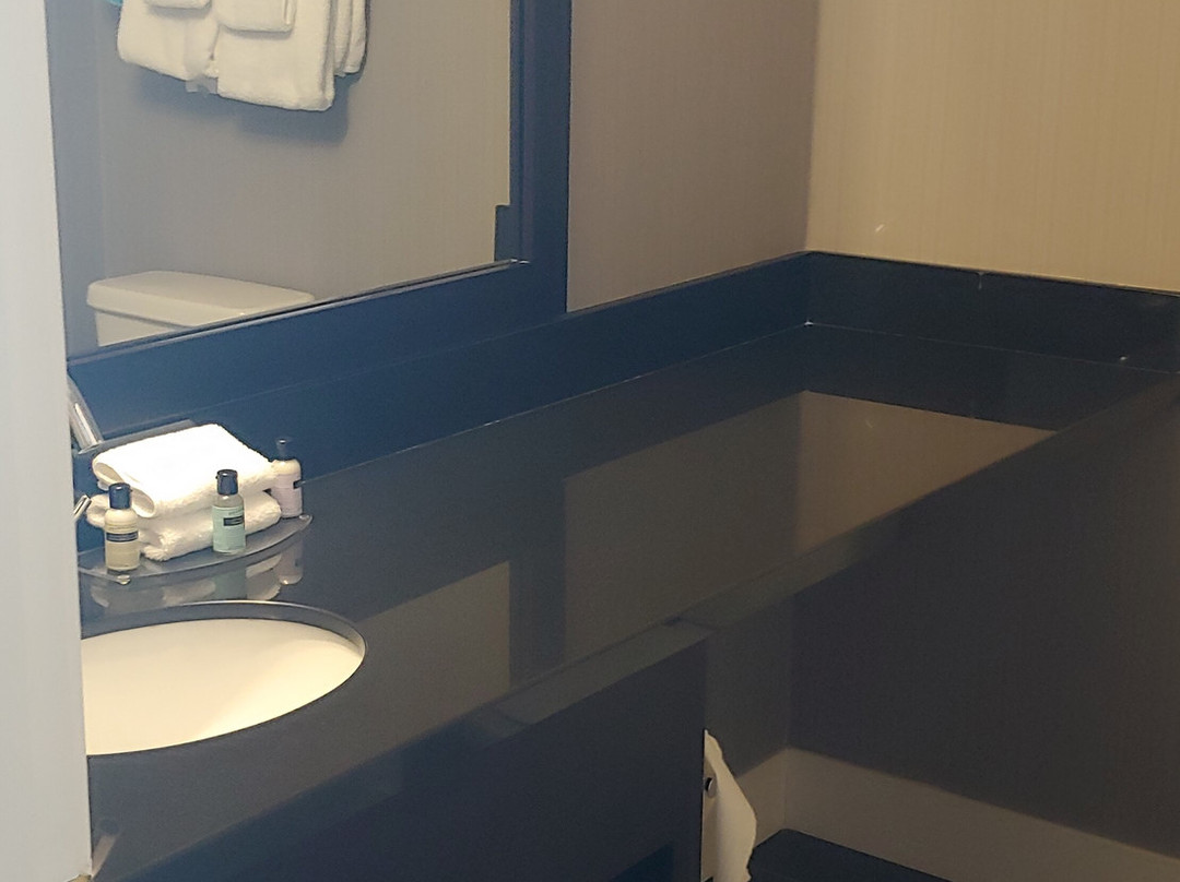 Sandman Hotel Saskatoon主图