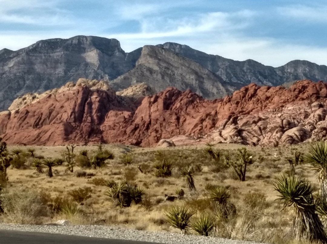Vegas Trike Adventures-拉斯维加斯必去景点