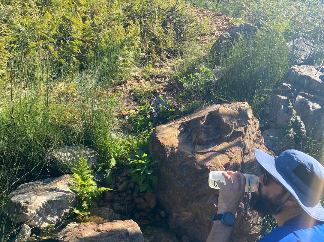 Shoshin Walks-McGregor必去景点