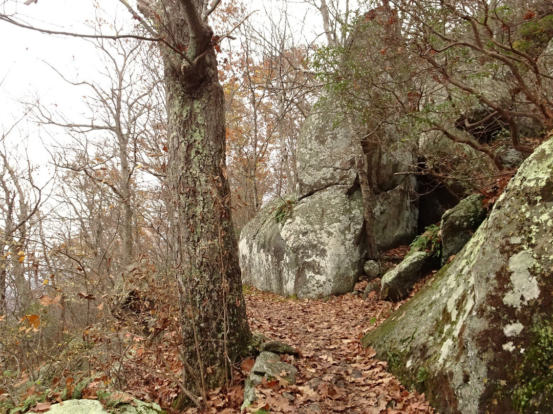 Mary's Rock Summit Trail景点图片