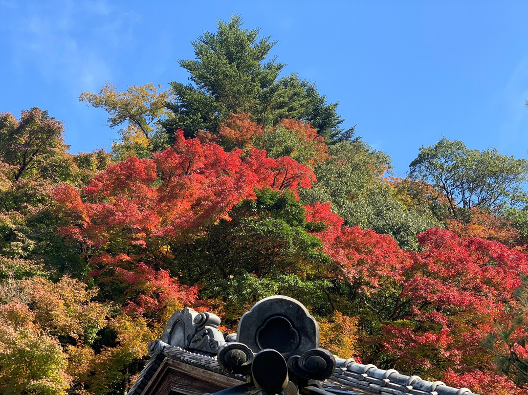 Hori Teien Garden-津和野町必去景点