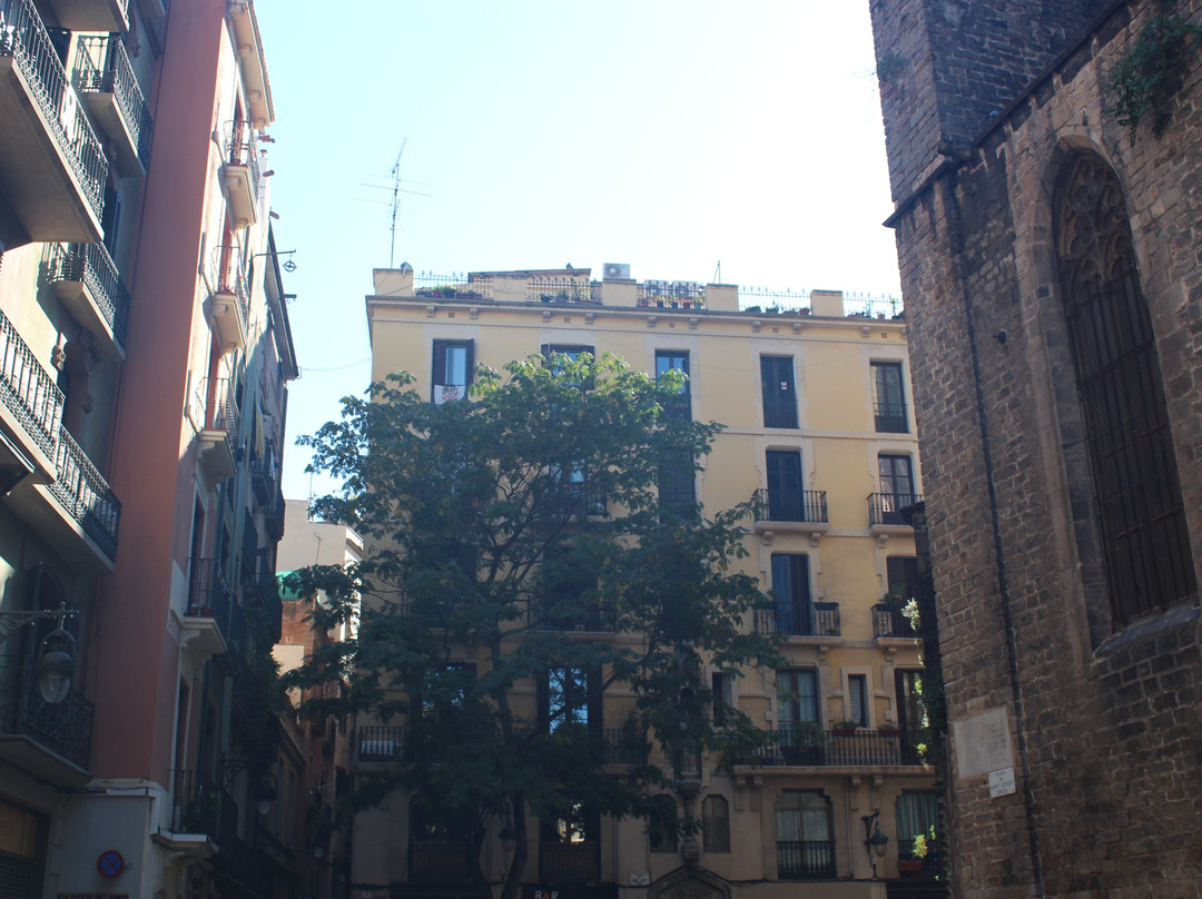 Plaça de Sant Josep Oriol-巴塞罗那必去景点