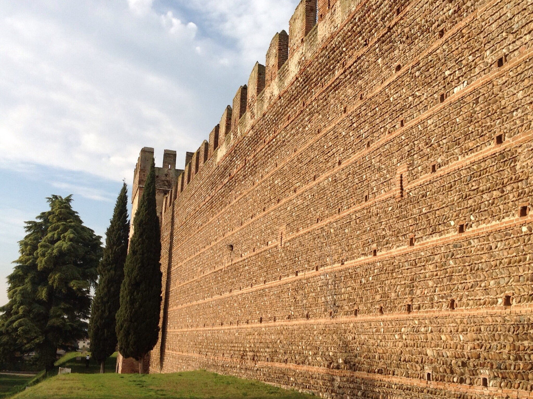 Castello Scaligero di Villafranca景点图片
