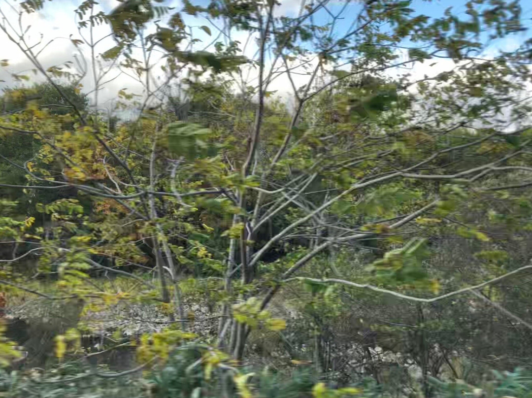 Shiribetsu River-喜茂别町必去景点
