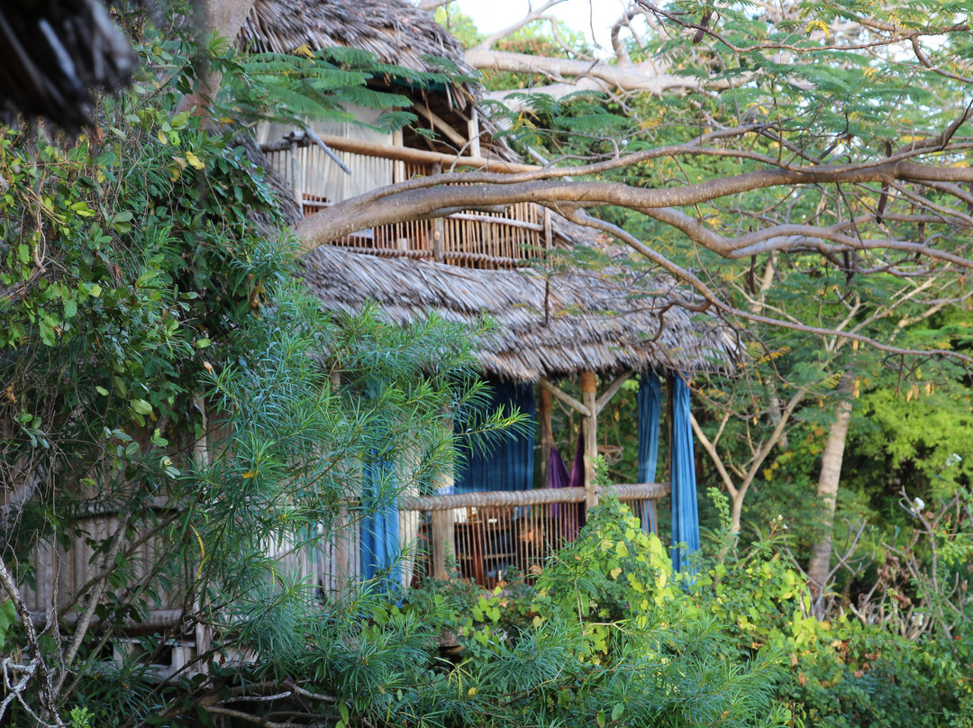 Chole Mjini Treehouse Lodge