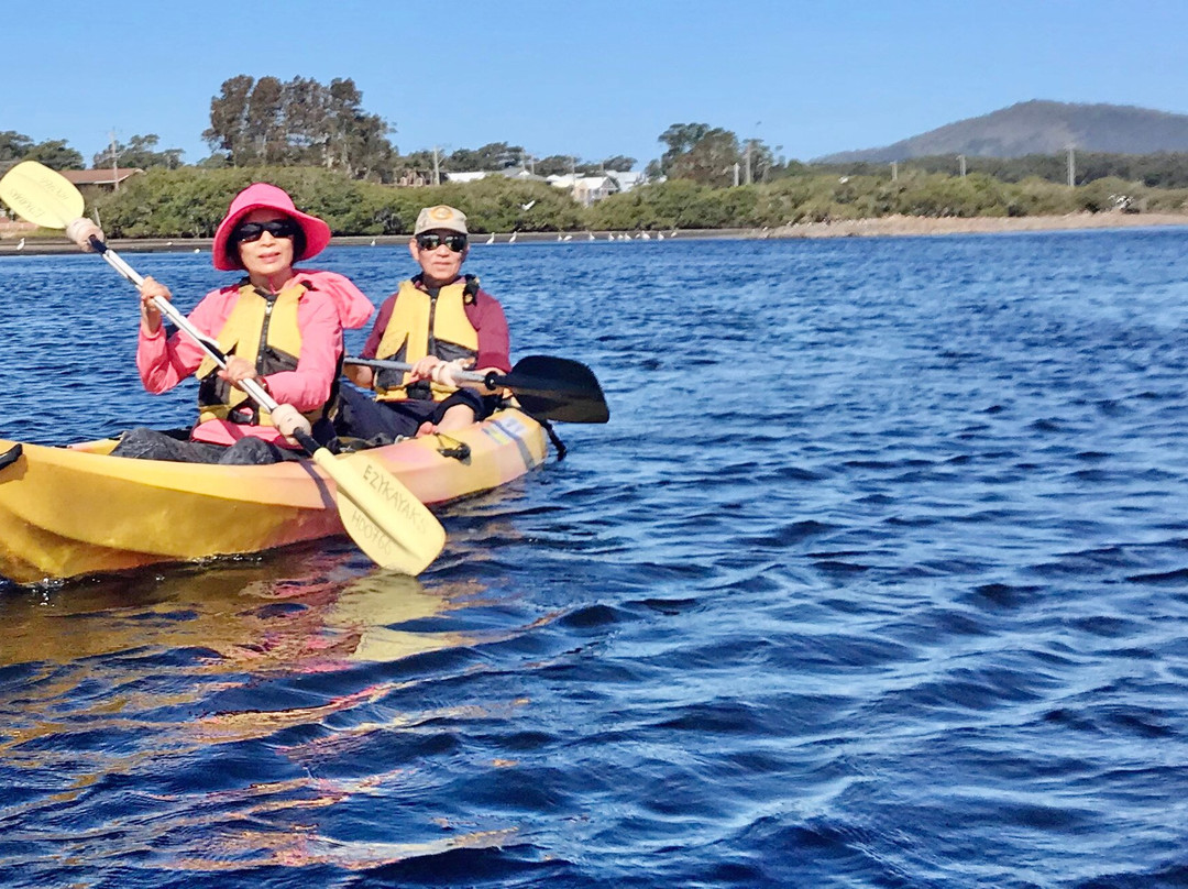 Ezy Kayaks Hawks Nest景点图片