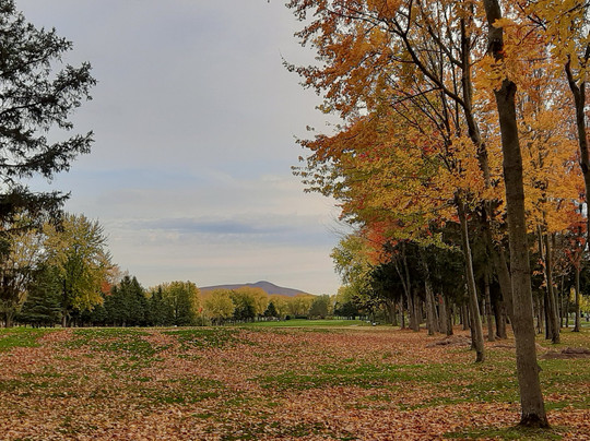 Club De Golf Domaine Rouville-Saint-Jean-Baptiste必去景点