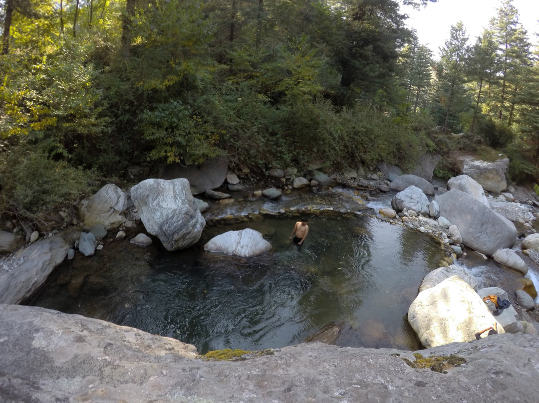 Maple Outhomes主图