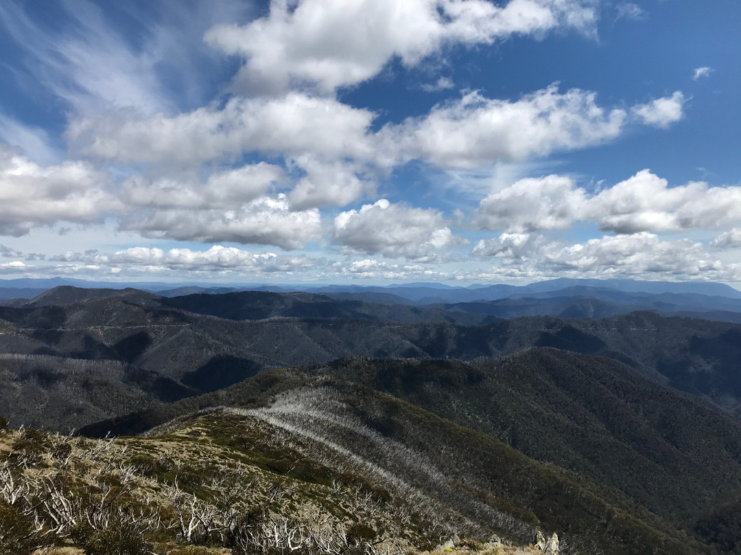 Danny's Lookout-Hotham Heights必去景点