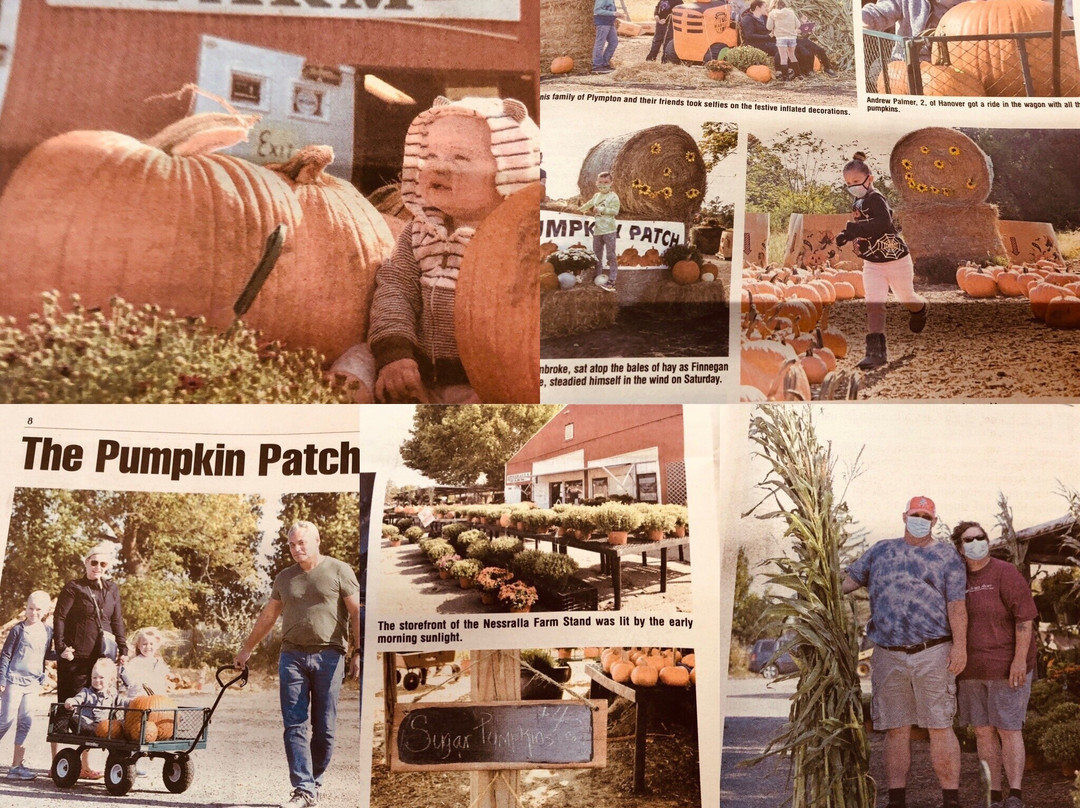 Nessralla Farms-Halifax必去景点