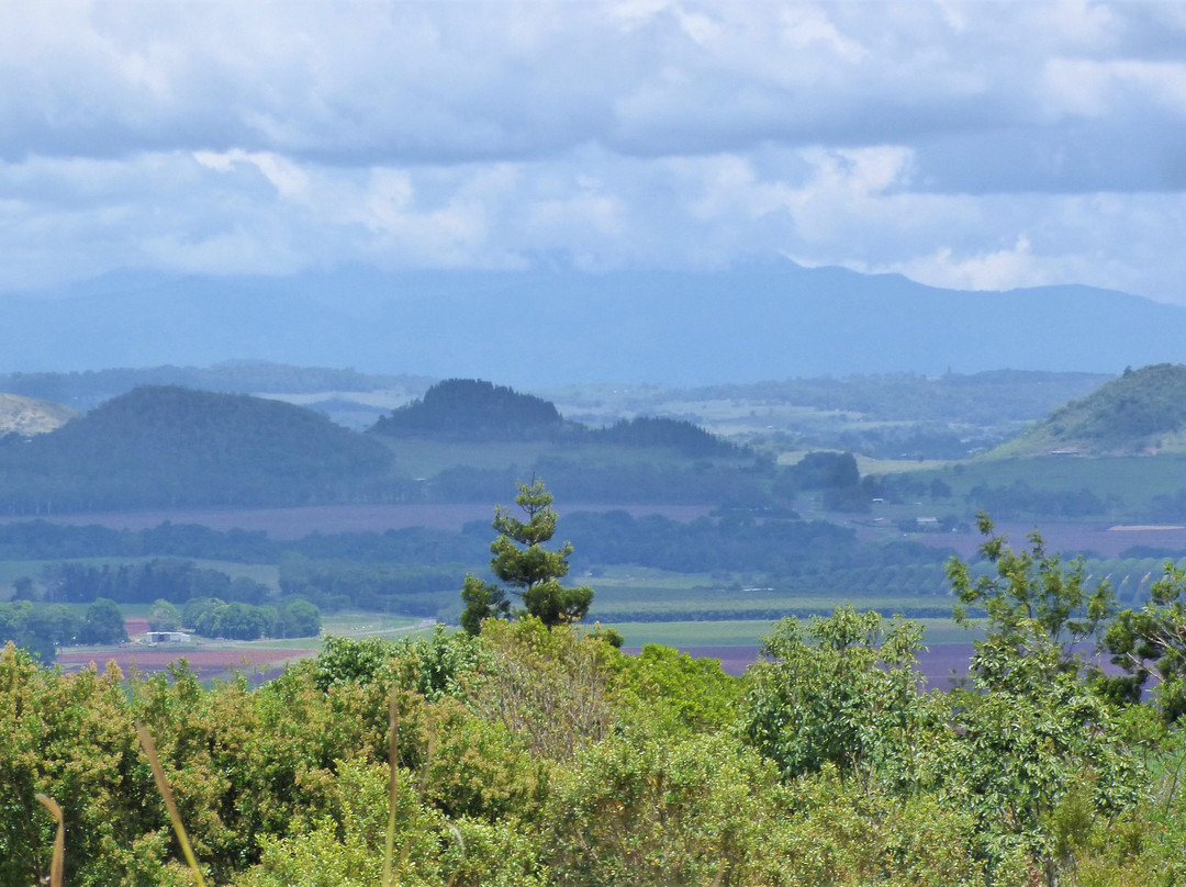 Hallorans Hill Regional Park- 阿瑟顿必去景点