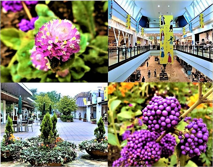 Mori Town景点图片