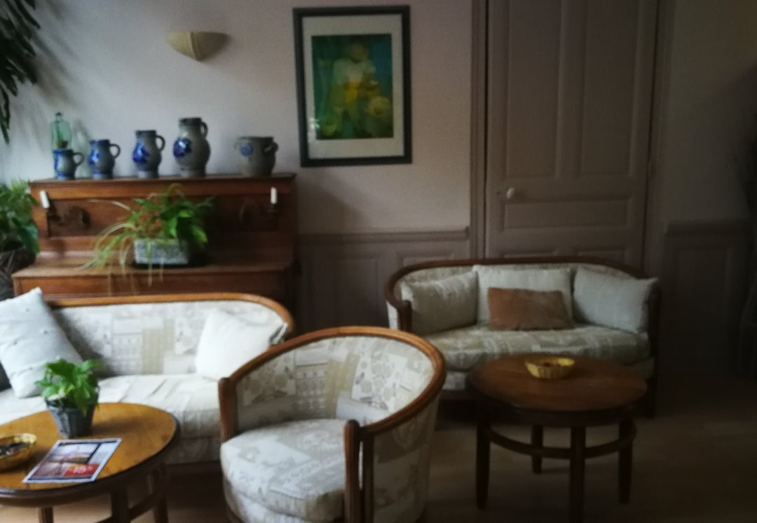 Logis Hôtel du Dauphin主图