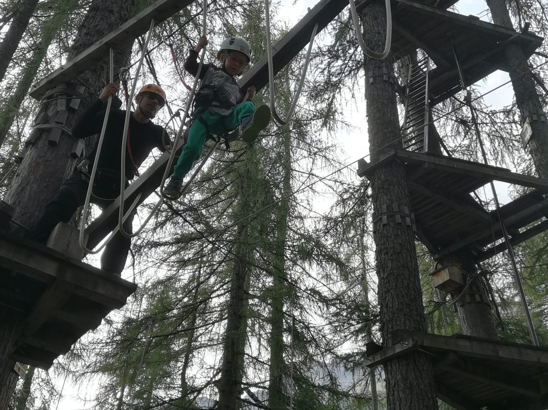 Parco Avventura Colfosco-Colfosco必去景点