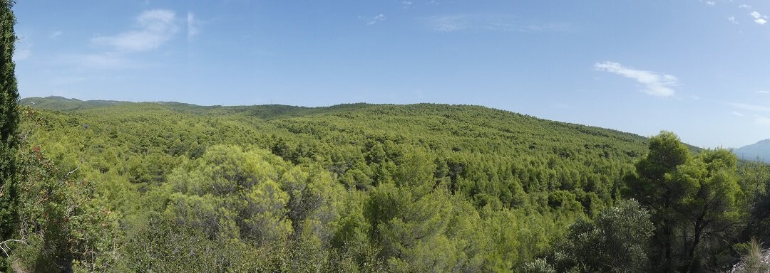 Tatoiou Palace-Acharnes必去景点