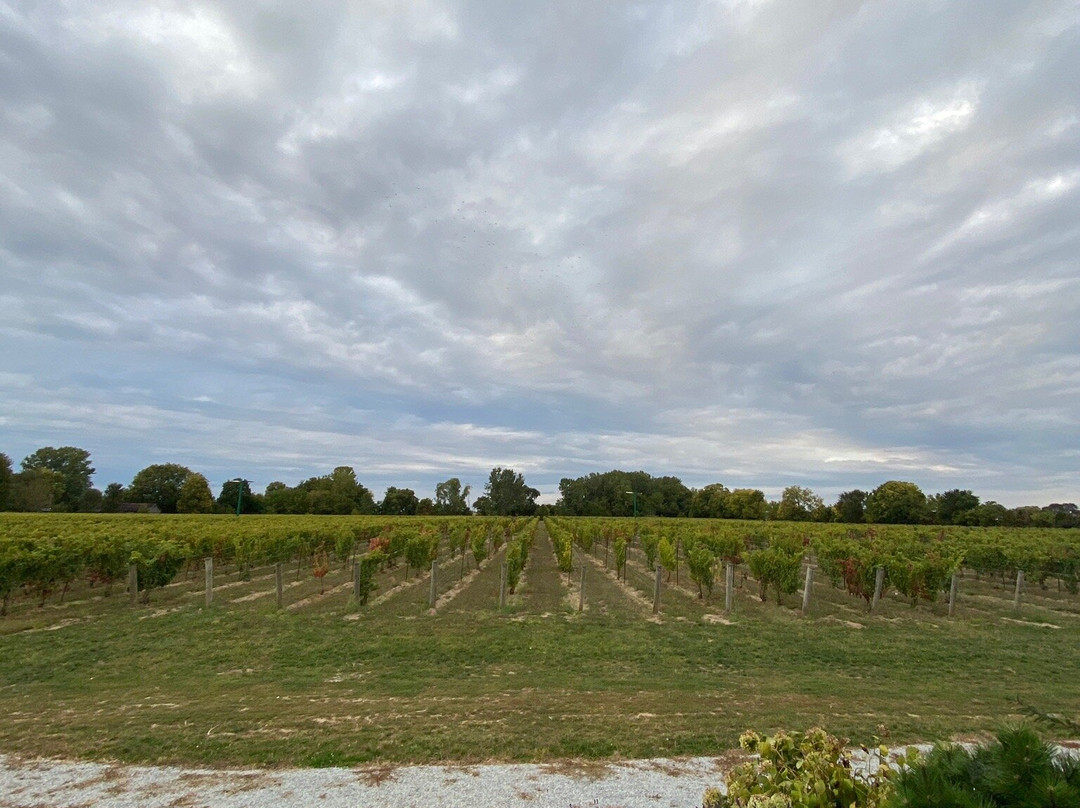 North 42 Degrees Estate Winery & Bistro 42景点图片