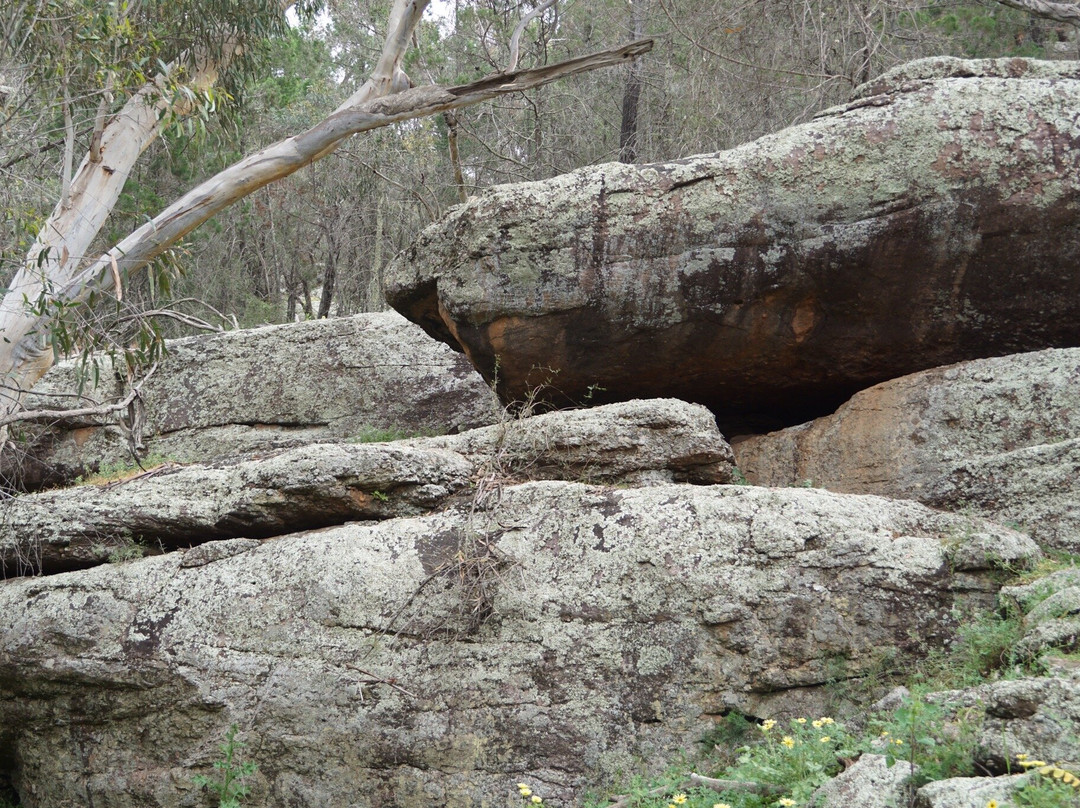 Cocoparra National Park景点图片