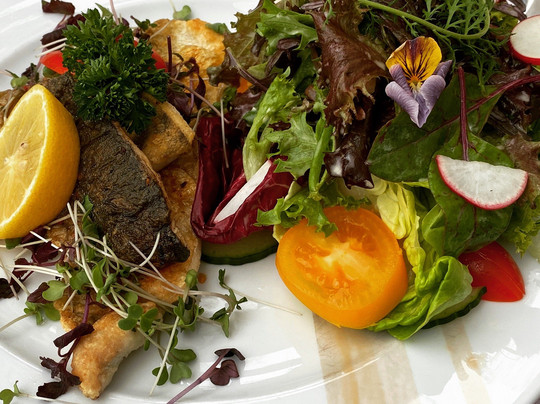 林道尔霍夫酒店主图