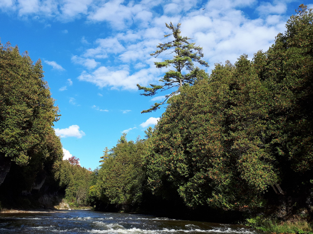 Elora Gorge Conservation Area-伊劳拉必去景点