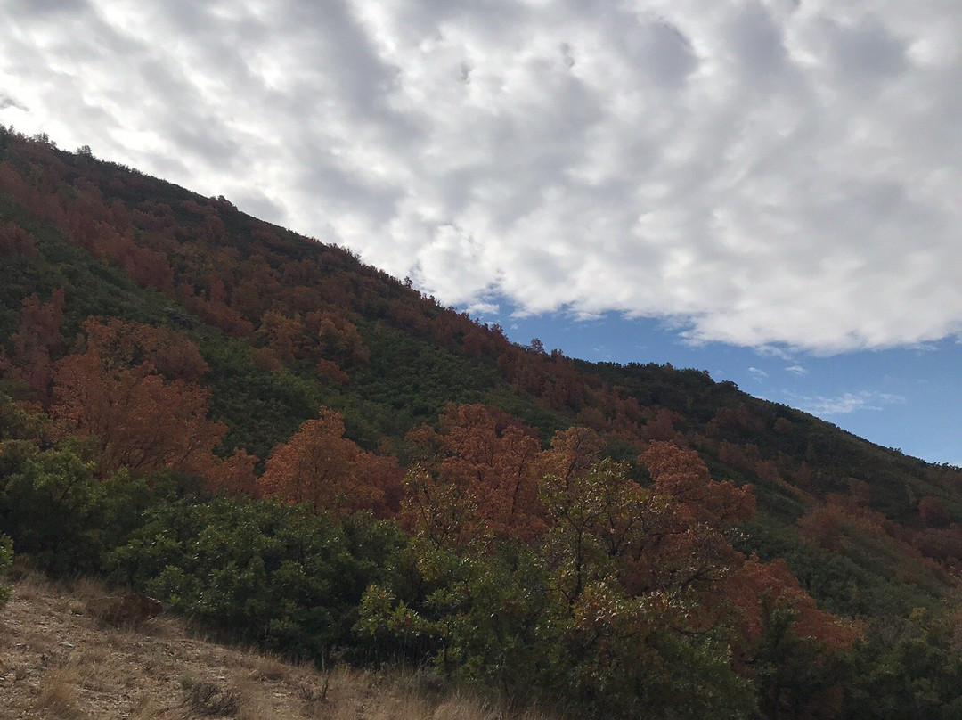 Rock Canyon-普若佛必去景点