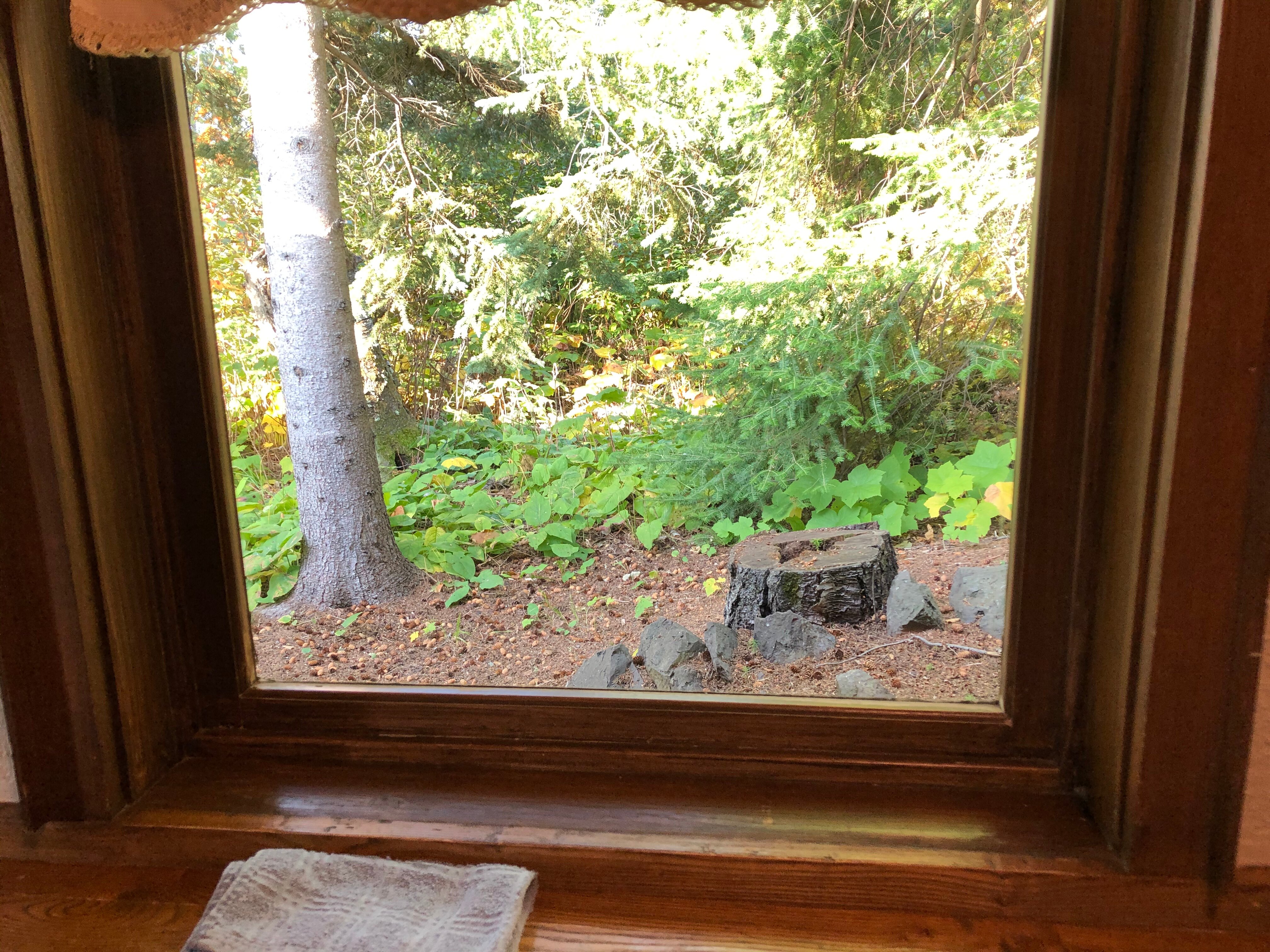 Thomsonite Inn on Lake Superior-酒店景观