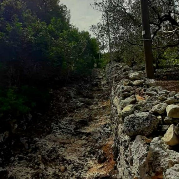 Grotte delle Cipolliane-Gagliano del Capo必去景点
