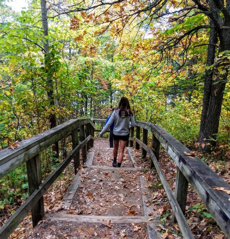 Wilderness Drive-Lake Itasca必去景点