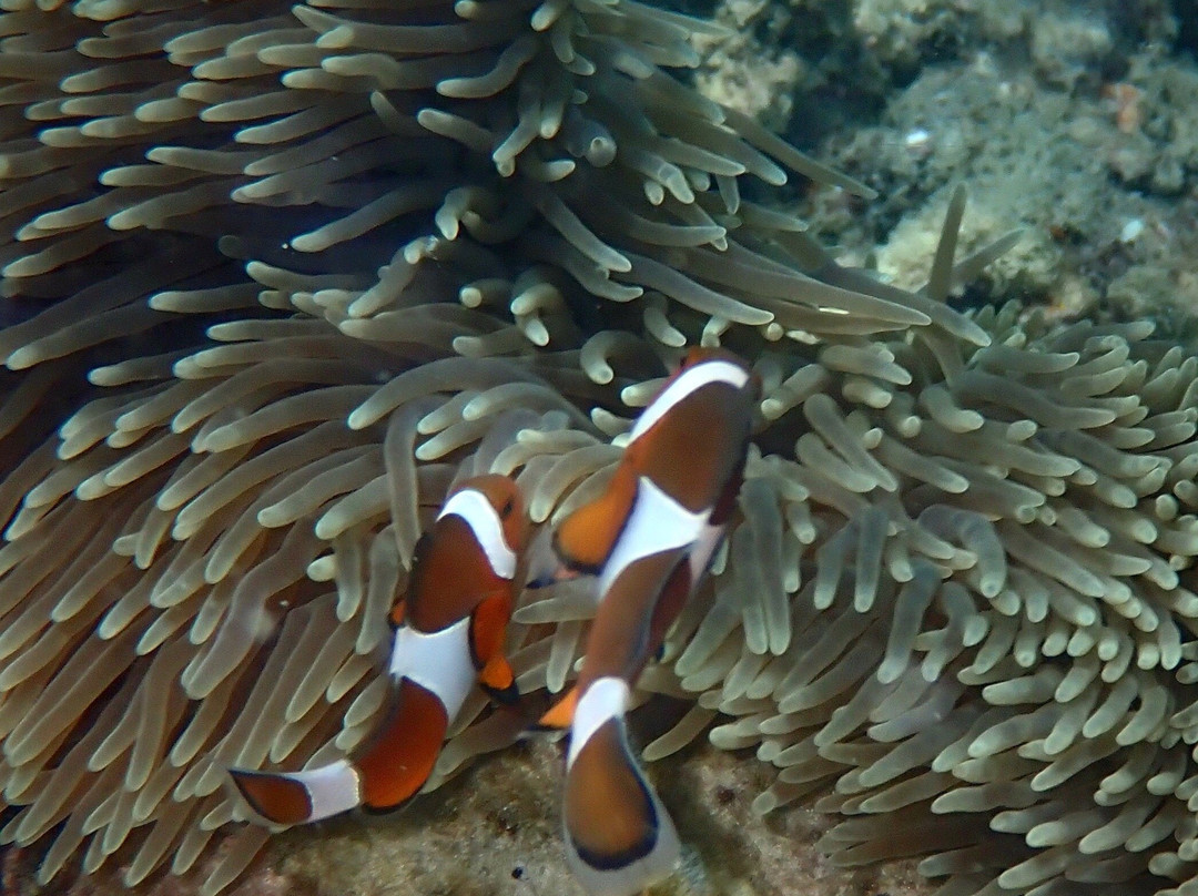 米纳安格湾度假酒店主图