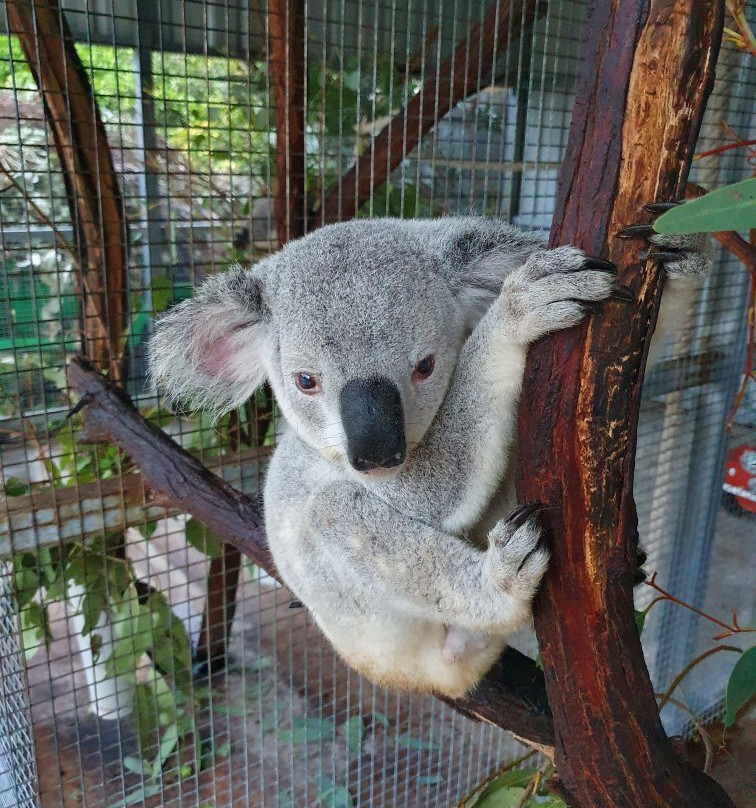 True North Bed & Breakfast主图