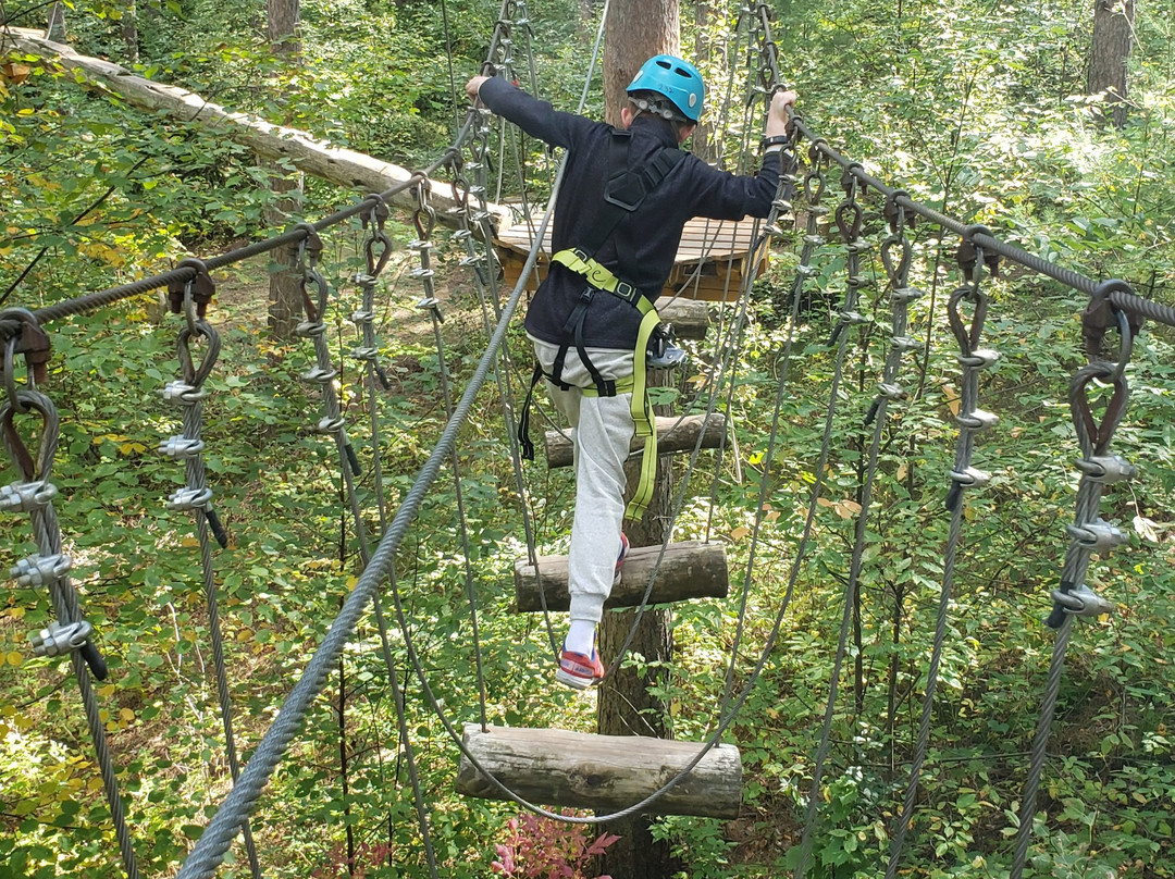 Treetop Trekking - Ganaraska-Campbellcroft必去景点