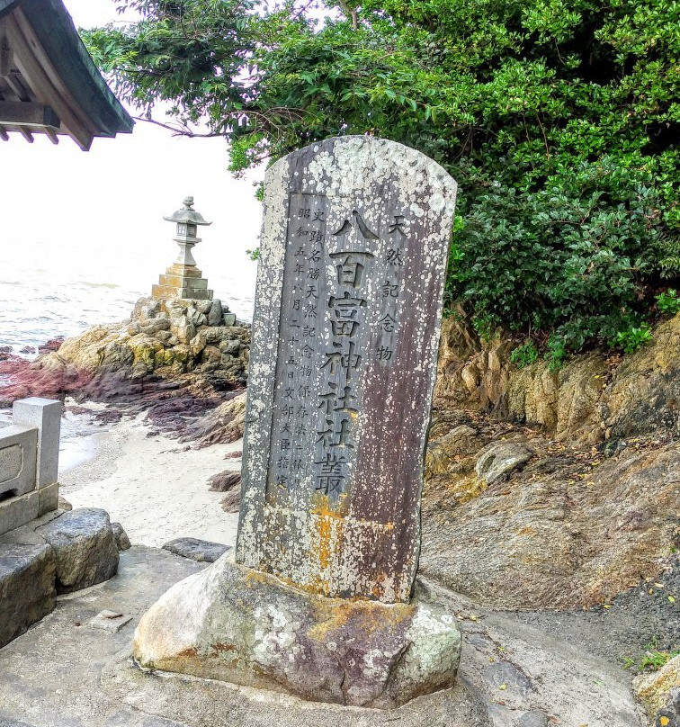 Gamagori Takeshima-蒲郡港必去景点